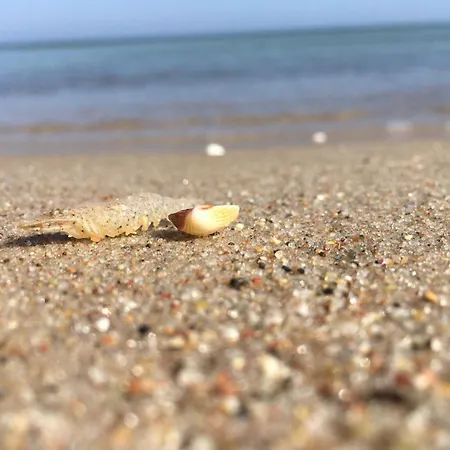 Fische - דירה Sellin (Rugen)