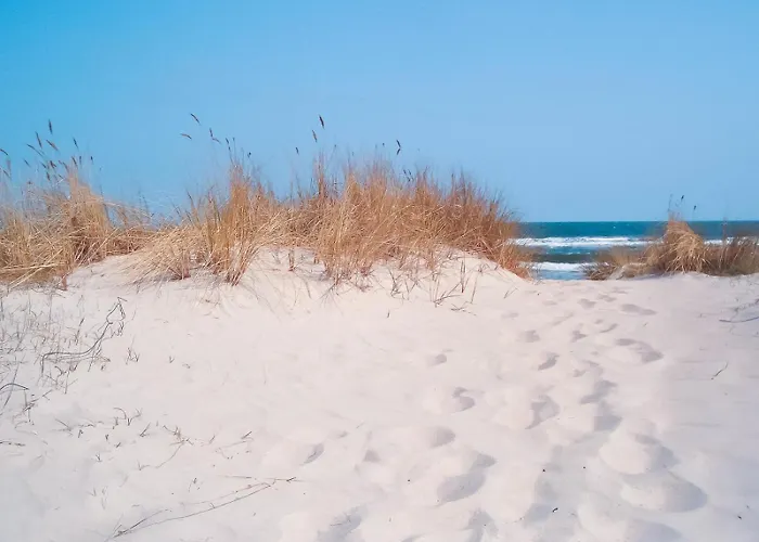 Daire Fische - Sellin (Rugen)